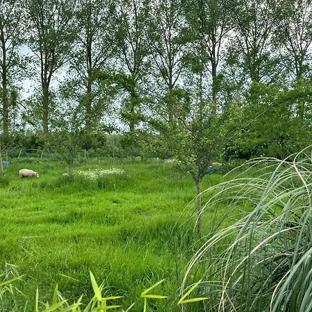 Well & S ヴィラ *