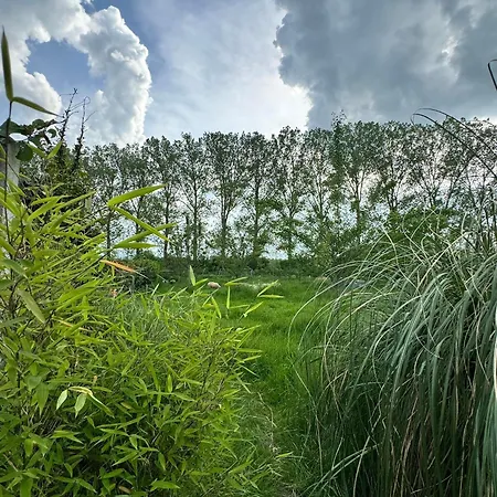 ヴィラ Well & S Hensies