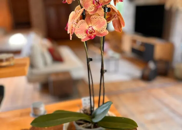 Βίλα Well & S Privatif