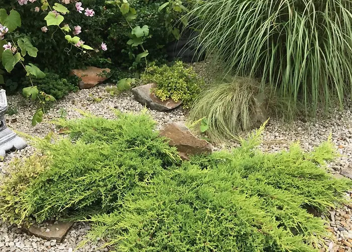 Well & S Privatif * Hensies